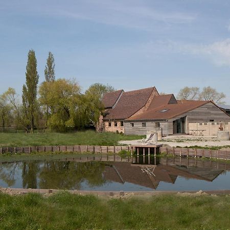 Landelijk Vakantiehuis In Diksmuide Met Een Tuin En Vijver ภายนอก รูปภาพ