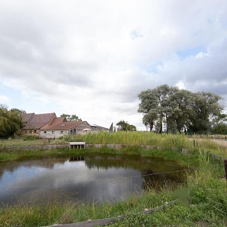 Landelijk Vakantiehuis In Diksmuide Met Een Tuin En Vijver ภายนอก รูปภาพ