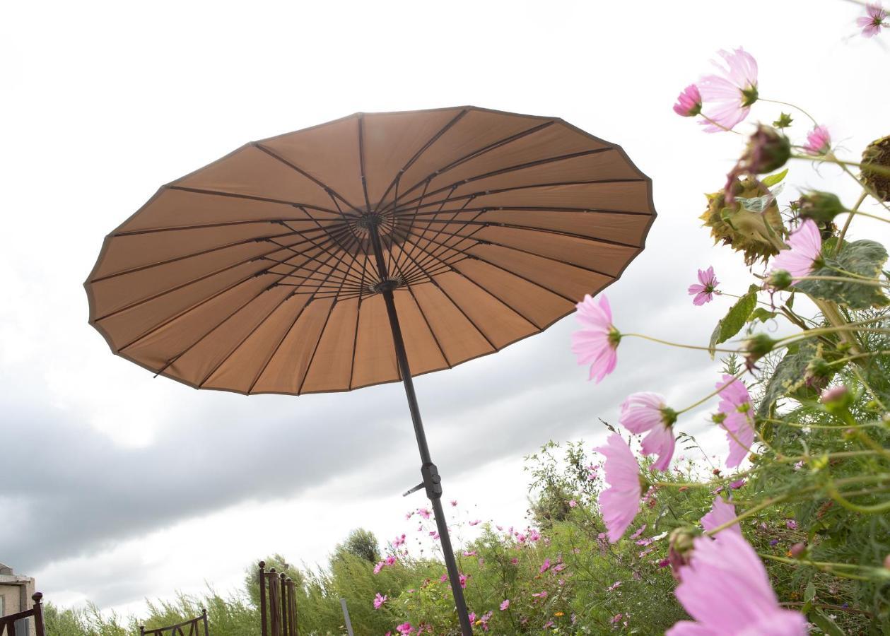 Landelijk Vakantiehuis In Diksmuide Met Een Tuin En Vijver ภายนอก รูปภาพ