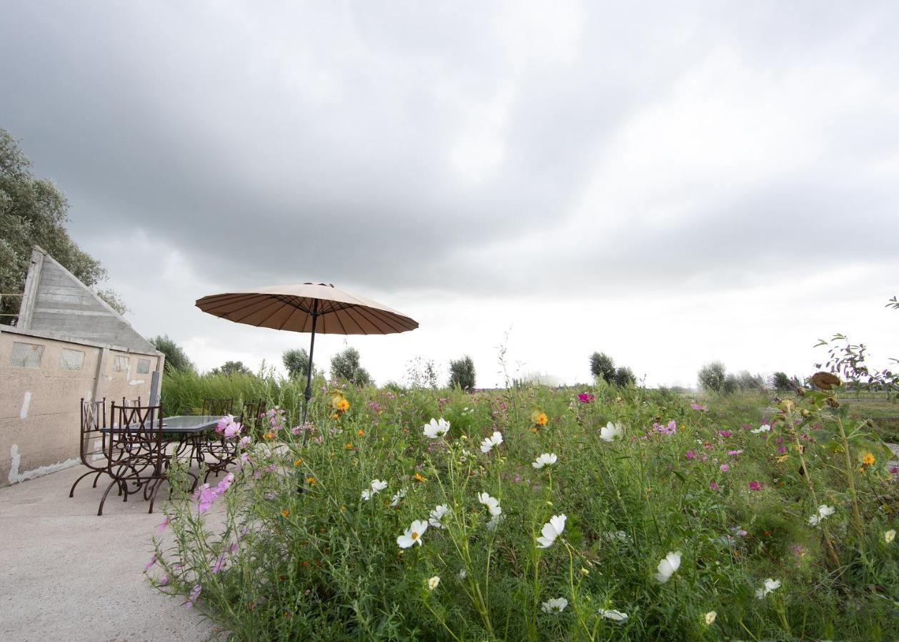 Landelijk Vakantiehuis In Diksmuide Met Een Tuin En Vijver ภายนอก รูปภาพ